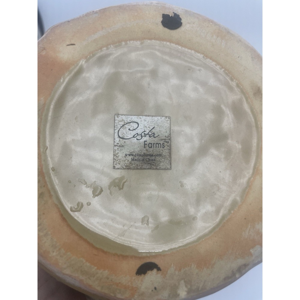 Vintage Ceramic Costa Farms Lucky Bambo & Turtle Planter Dish Tan and Green 5" D - Picture 8 of 8